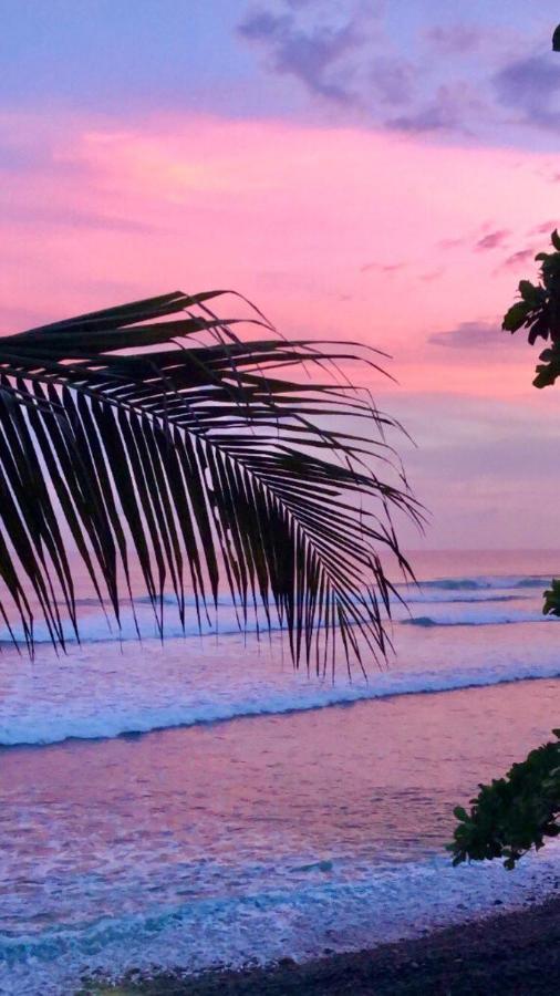 Laola Surf Camp El Sunzal Hotel La Libertad Ngoại thất bức ảnh